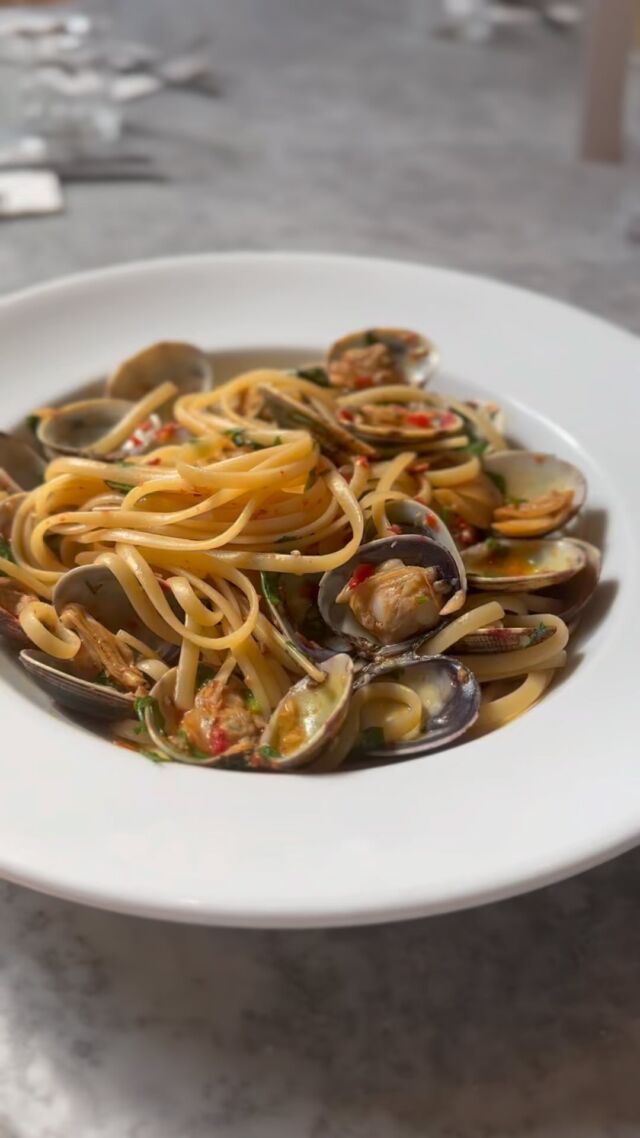 Our Linguine Vongole with fresh palourde clams, chilli garlic and white wine sauce

This is our summer special that you can enjoy at our restaurants in Kensignton High Street, Tottenham Court Road, Oxford Street and Holborn and it’s available until 16th July ☀️